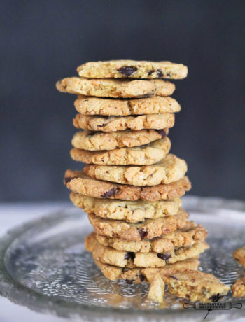 Salted Peanut Cookies with Chocolate